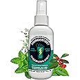 Thunderfoot Natural Shoe and Foot deodorizing Spray- Mint Scent - Shoe Odor Eliminator, Shoe Spray Deodorizer, Shoe freshener, Foot Deodorizer, Odor Eliminator for Shoes (4 OZ)