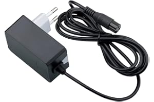 TANGSFIRE Caricabatterie al piombo 24 V 1A per scooter elettrici Razor E300, E200, E100, PR200, MX350, Dirt Quad, Pocket Mod, Sport Mod, Go Kart, Crazy Cart, eSpark