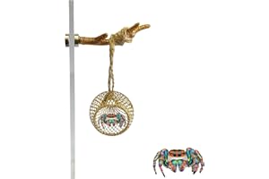 Okueejur Jumping Spider Hide Jumping Spider Enclosure Accessories with Decoration Anlter Pet Spider Hideout Enclosure Accessories (Not Included The Jumping Spider Terrarium) (Gold)