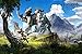 Produktbild CGC Huge Poster GLOSSY FINISH - Horizon Zero Dawn PS4 - EXT716 (24" x 36" (61cm x 91.5cm))