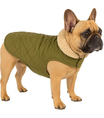 Flamingo Winterjas Ragna rood - A: 35 cm, B: 34-38 cm, C: 50-54 cm, zachte fleece, reflecterende strepen, wasbaar, spatwaterdicht, ideaal voor chihuahua, Yorkshire terriër, poedel enz