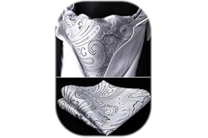 HISDERN Cravat for Men Paisley Floral Cravats Handkerchief Jacquard Wedding Ascot Tie & Pocket Square Set