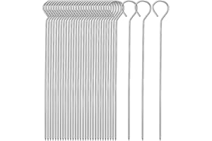 ASYKNM Set 20 Spiedini in Acciaio 24.5cm, Stuzzicadenti Barbecue Lunghi, Perfetti per Panettone, Falò, Grill per Marshmallow, Cioccolato, Spuntini e Verdure.