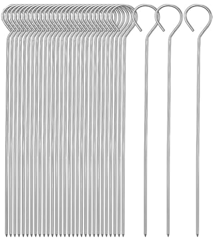 30 Forchette Doppie Per Pannocchie In Acciaio Inox, Manico Ergonomico, Spiedini Per Barbecue, Mais, Frutta, Antiruggine - 4