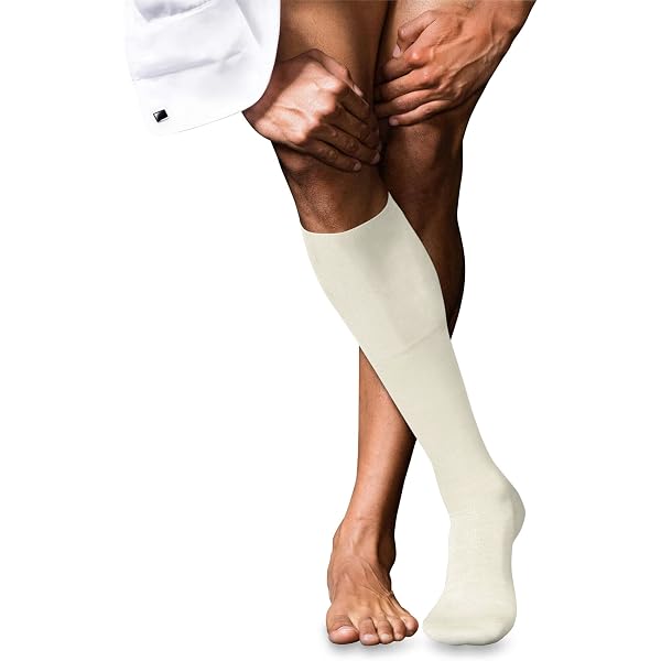 FALKE Uomo Calzini Tinted Stripe - Termici In Lana Vergine, Antiodore, Traspiranti, Taglie 39-50