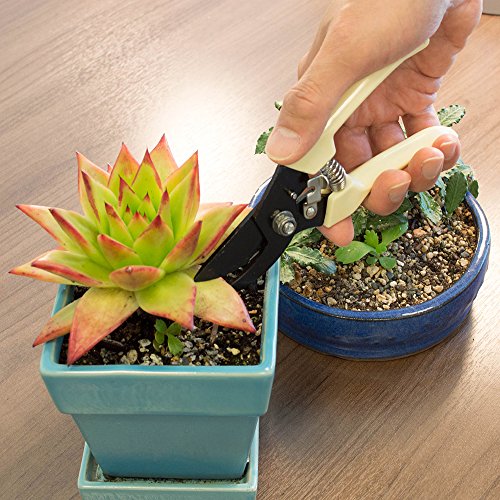 (7in1) ORIGINAL GardenHOME ZIMMERPFLANZEN WERKZEUG SET, SEHR ROBUST, KLEINER FORMFAKTOR, Pflanzkelle, Blumenkelle, Winkelharke, Gartenschere, Blattschere u. Sprühflasche m. GRATIS TRAGETASCHE - 8