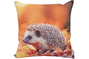 CB Home & Style Outdoor Garten Kissen Herbstkissen Herbstdeko Outdoorkissen Wasserabweisend 45x45cm mit Füllung (Igel)