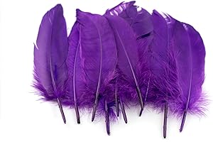 ‎CREATIVERY 10 Gänsefedern 15-20cm (lila/purpur 465) // Echte Federn Bastelfedern Schmuckfedern Dekofedern Vogelfedern Dekofedern