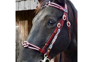 TMIL Brides De Cheval Pleine Grandeur, Rênes Équestres en Cuir avec Boucle De Joue Simple Et Rembourrée Douce pour Accessoires De Chevaux Équipement De Course De Chevaux - Taille Réglable,Rouge