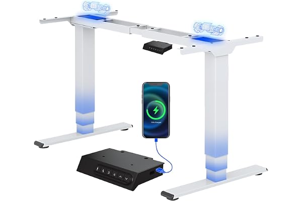 FLEXISPOT EC5 Plus Bureau Assis Debout Capacité de Charge 120kg,Électrique à 2 Moteurs,Cadre de Bureau Réglable en Hauteur,Panneau de Contrôle avec Port-Type C/A,Système Anti-Collision,Blanc