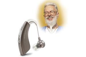 Britzgo oltre 500 ore di durata della batteria per un uso continuato rende la vita più facile, Argento