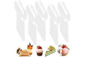 LANSKYLAN 300 PCS Cuchara de Plástico, Cucharas Reutilizable de Plástico Transparente, Cucharas de Degustación de Plástico, Cucharas de Servir de Plástico, Mini Cucharas para Postre Pudín