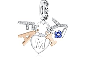 NUNUYAYA Charms Abaloriosde Cuentas Plata de Ley 925 con Circonita Cúbica Graduation Family Flower Charms Colgante Compatible con Niña Mujer Europeo Pulsera Collar