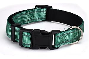 AOKLANT Odblaskowa nylonowa obroża dla psa, wygodnie wyściełana nylonowym kołnierzem, regulowane rozmiary i kolory, idealna dla małych, średnich i dużych psów, turkusowa zieleń, S