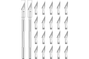 Artcut Cutter Di Precisione 2 Pz Taglierino Di Precisione, Bisturi con 20 Lame Taglierino, Bisturi Modellismo Bisturi Chirurgico, Taglierinomini Cutter Bisturi per Pane per Hobby, Arte, Intaglio