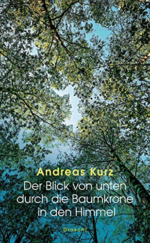 Der Blick von unten durch die Baumkrone in den Himmel: Eine Umschreibung