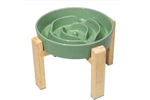 PTOBER Elevated Slow Feeder Dog Bowl - Raised Ceramic Dog Bowl with Anti-Slip Stand - Puzzle Maze Dog Food Bowl for Fast Eaters - Heavy Big Dog Dish - Designed for Medium and Large Dogs - Green - 8.8 inch