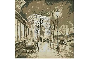 SWEET HOME Old Paris - Kit de punto de cruz, 14 quilates, hilo de algodón egipcio, 180 x 180 puntos, 40 x 40 cm, muestra