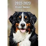 Calendrier Bouvier Bernois 2023 Calendrier 2022 Bouvier Bernois Chien De Race Bouvier Bernois (Pg) + Offert  Un Agenda De Poche 2022 : Amazon.fr: Fournitures De Bureau