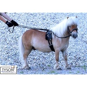 Langzügel Zügel Kaltblut extra lang 3 o 4 Meter Gurtzügel