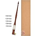 XIAOYU Oblique Wooden Pen Set, Calligraphy Set for Beginners, 5 Calligraphy Dip Pen Nibs, Brown