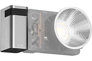 ZHI YUN ZHIYUN MOLUS X100 Batteria dell'impugnatura przenośny