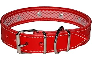 TUYNEC - Collier pour Chien avec Filet de Protection pour Collier Anti Puces pour Chien, Collier Fait Main en Cuir de Haute Qualité Qui Protège et Prolonge la Durée du Antiparasitaire