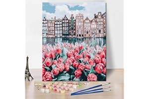 TISHIRON DIY Painting by Numbers Kits Landscape Tulips in Amsterdam Holland Europe Painting for Kids Paint by Number for Adults Beginner Canvas Arts for Home Decor 16 x 20 inch