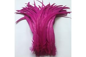 Sowder Fushia Rooster Coque Tail Feathers 16-18inch Lengh Pack of 20