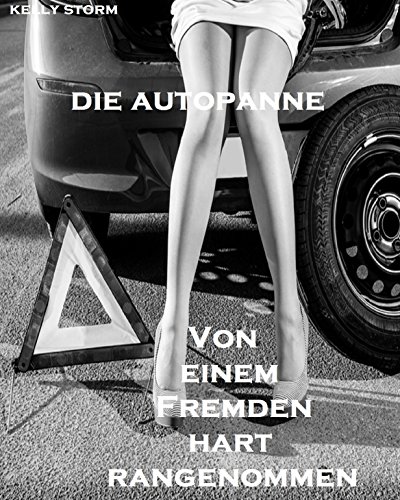 Die Autopanne - Von einem Fremden hart rangenommen: Erotische Kurzgeschichte
