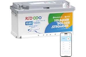 Redodo Bateria Litio 12V 100Ah H190 Bluetooth Bateria LiFePO4 con189mm de Altura,Batteria de Litio de Ciclo Profundo con Smart BMS 100A,Protección de Baja Temperatura,para Autocaravanas,RVs,Caravanas