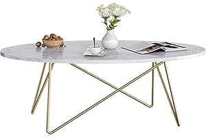 FirFurd Tavolino da Salotto Ovale,Tavolino Salotto Moderno Bianco,con Struttura in Metallo,Effetto Marmo,Adatto per Soggiorno Studio120x60x41cm