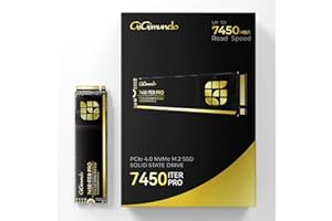 GiGimundo 7450 ITERPRO 1TB M.2 SSD, NVMe 2.0 2280 PCIe Gen4×4 Ultra High Speed, Max Read 7100MB/s, Write 5000MB/s, 3D NAND TLC Internal Solid State Drive Compatibile con PS5 Pro