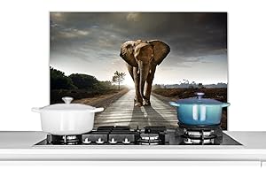 MUCHOWOW Credence Éléphant - Nature - Route Fond de hotte 90x60 cm Credence aluminium Plaque inox de cuisine