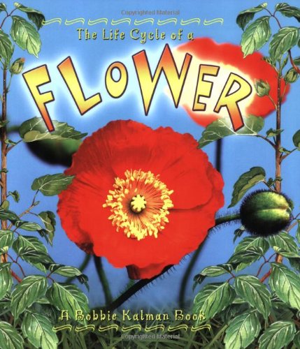 The Life Cycle of the Flower
