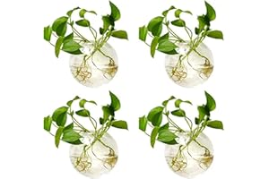 NUPTIO 4 Pièces Jardinières en Verre à Suspendre 10cm de Diamètre en Verre Rond Pot - Eau Planter des Vases Air Fleur Vase Plante Terrariums Conteneur de Plantes