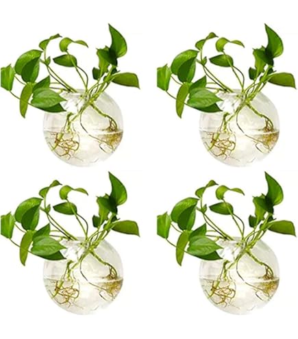 Propagation Stations |Pack Of 3 | Hanging Plant Propagation