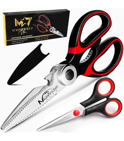 Giannini Forbici Extragourmet 5 Lame Per Erbe Aromatiche Acciaio