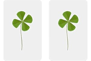 PANDIUI23 Trébol de 4 Hojas Natural Plastificado | Amuleto de la Suerte y la Fortuna | Regalo Original de la Buena Suerte: Tréboles Secos de Cuatro Hojas Real (2)