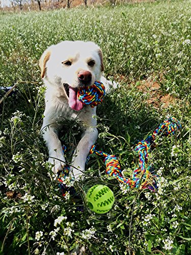 5-Pack-Pet-Dog-Cotton-Rope-Toys-Rubber-Chewing-Ball-Toys-Bite-Resistant-and-Teeth-Cleaning-Gift-Set-for-Small-Medium-Dogs