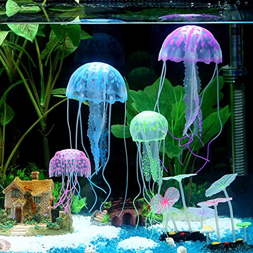 jainsons aquarium