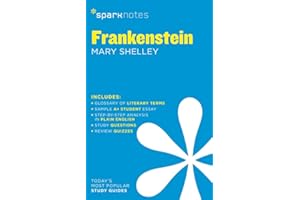 Frankenstein SparkNotes Literature Guide: Volume 27