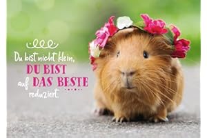 ‎GUTSCH VERLAG Gutsch Verlag Freundschafts-Postkarte mit Meerschweinchen & Blumen - Niedlicher Tiergruß mit Spruch, Humorvolles Geschenk für Optimismus