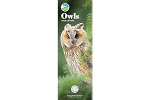 CAROUSEL CALENDARS RSPB Owls Slim Calendar 2024