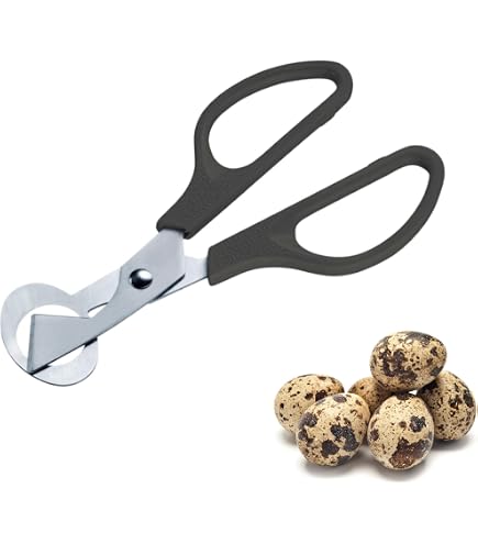 Apriuova in acciaio inox, apri-guscio portatile, per uova Apriuova in acciaio inox, apri-guscio portatile, per uova