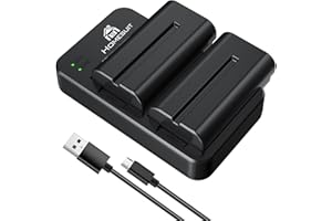 Homesuit NP-F550 Battery 2900mAh and Dual LED Charger Kit Compatible with Sony NP-F970 F960 F770 F750 F570 F550 F530 F330 CCD-SC55 TR516 TR716 TR818 TR910 TR917 TR940 (2-Pack)