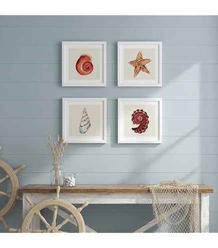 1art1 Zerbino Stelle Marine E Conchiglie 60x40cm – Lavabile In Lavatrice