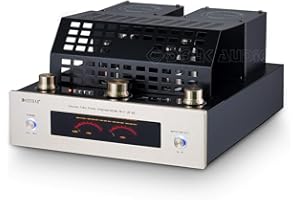 Nobsound - Amplificateur stéréo Bluetooth 4.0 - Tube à vide - Système Hi-Fi classe AB - Port USB et SD - 160 W