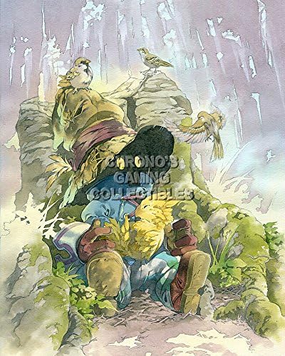 CGC Huge Poster - Final Fantasy IX Vivi PS1 PS2 PS3 PSP Vita - FIX007 (24" x 36" (61cm x 91.5cm))