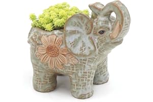 DUOJIN Keramik Topf Elefanten Kaktus Sukkulenten Pflanze Topf Blumen Pflanzer Mini Garten
